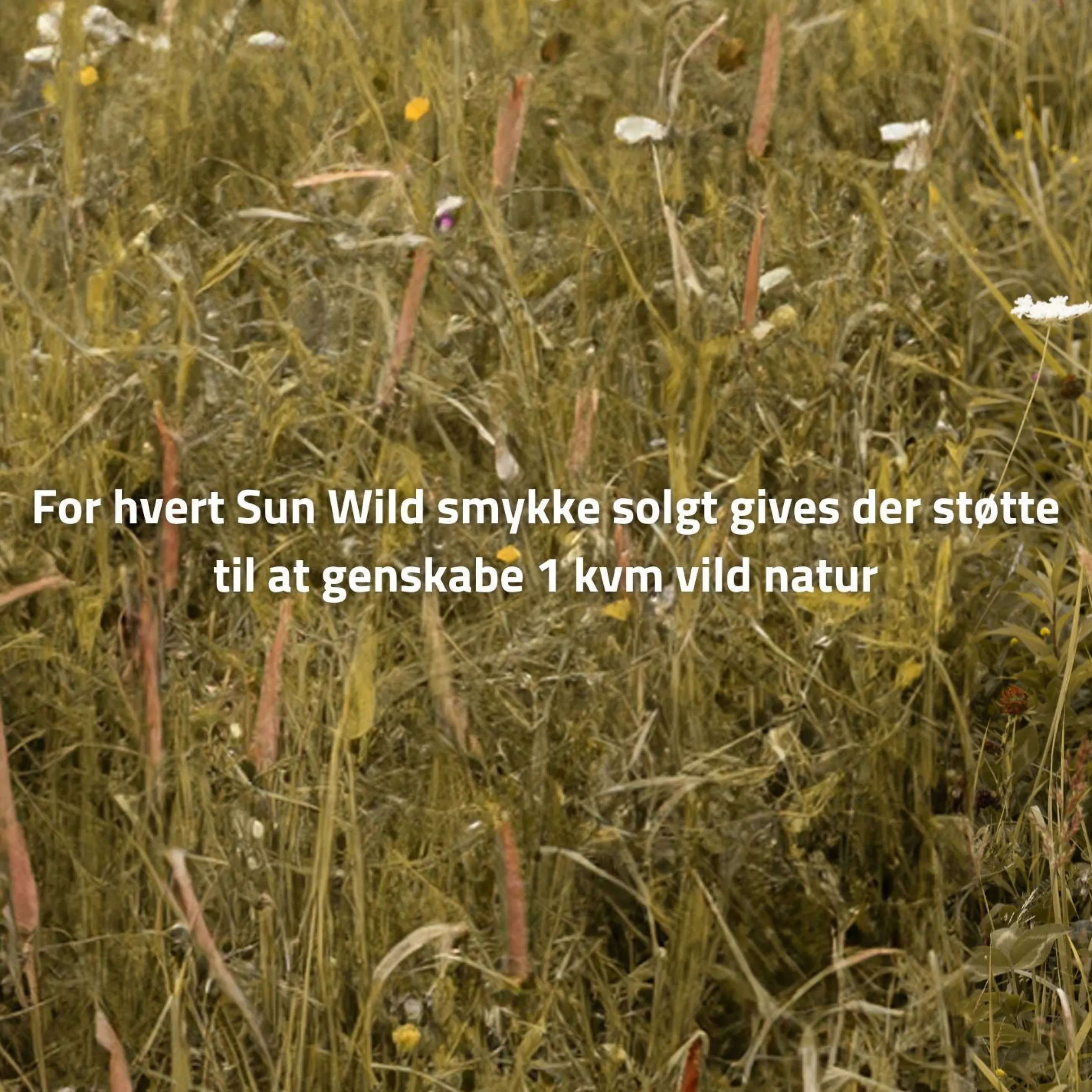 byBiehl® Danmark Sun Wild Hoops Sterling sølv Shop